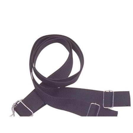 CORREA PARA SULFATADORAS PAPILLON