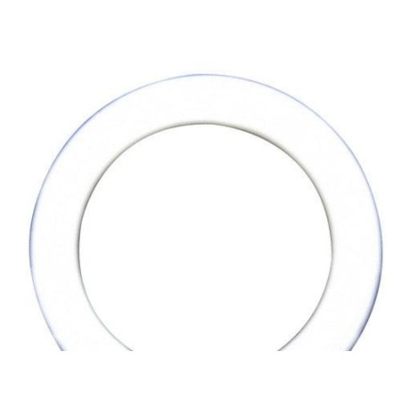JUNTA PLANA PTFE 3/4 RACOR 24X19X2 MM.   BOLSA 100 UNIDADES