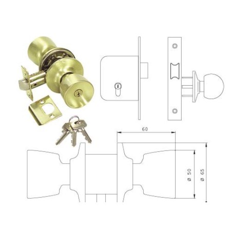 POMO TESA    3520 - CR/50