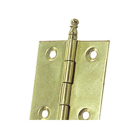 BISAGRA LATONADA DESMONTABLE 210      40X35