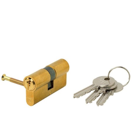 CILINDRO ISEO F5  EUROPEO 30X30 LATONADO LEVA LARGA