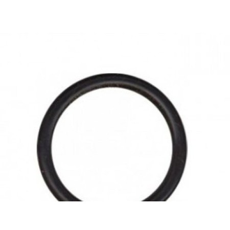 JUNTA TORICA 25X21X2 FYH