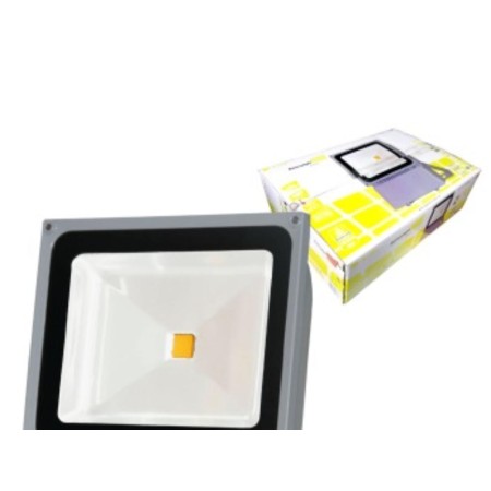 BATTERYLIGHT PROYECTOR LED INDUSTRIAL 100W CW