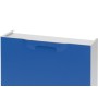 ZAPATERO RESINA 51X17X41 BLANCO / AZUL