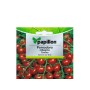 SEMILLAS TOMATE CHERRY  (1 GRAMO)