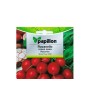 SEMILLAS RABANO ROJO TEMPRANO  (8 GRAMOS)