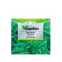 SEMILLAS ESPINACA TEMPRANA  (8 GRAMOS)
