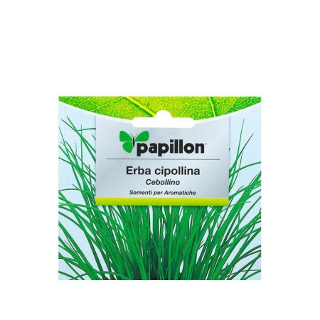 SEMILLAS AROMATICAS CEBOLLINO  (1 GRAMO)