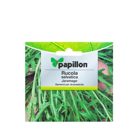 SEMILLAS AROMATICAS RUCULA SELVATICA  (2. 5 GRAMOS)