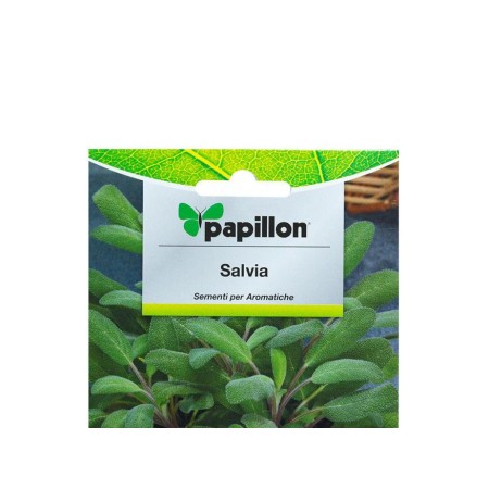 SEMILLAS AROMATICAS SALVIA  (1 GRAMO)