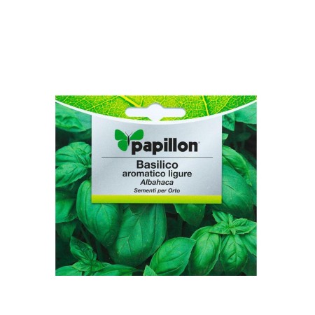 SEMILLAS AROMÁTICAS ALBAHACA AROMATICA  (5 GRAMOS)
