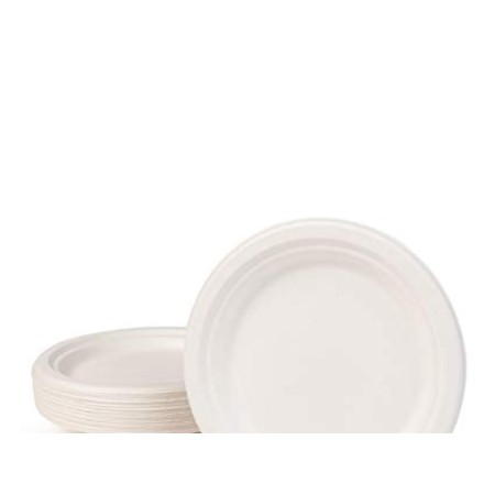 PLATO CAÑA DE AZUCAR BLANCO 17 CMS (50 UNDS)