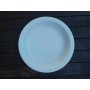 COSTAVERDE TURISMO BLANCO PLATO HONDO 21,5 CMS.