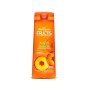 CHAMPU FRUCTIS 360 ADIOS DAÑOS