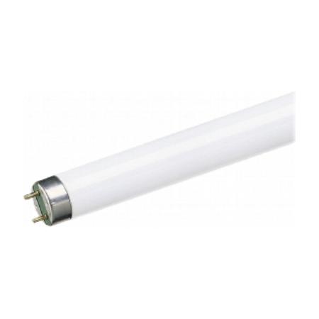 TUBO FLUORESCENTE TRIFOSFORO 58 W 6400K