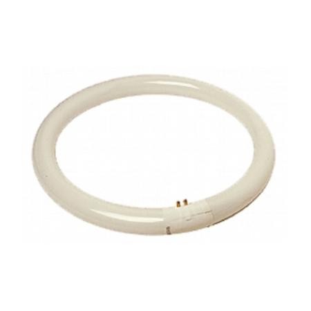 TUBO FLUORESCENTE CIRCULAR 32W