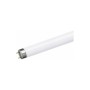 TUBO FLUORESCENTE TRIFOSFORO 36W