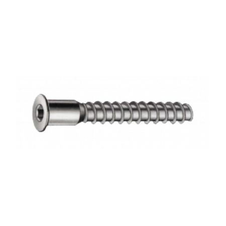 (CIENTO)TORNILLO  ENSAMBLAR  RUBI 5X50