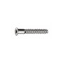 (CIENTO)TORNILLO  ENSAMBLAR  RUBI 5X50