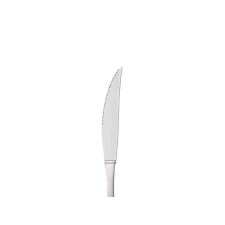  ALAR CUCHILLO BISTEC ROMA 90 G