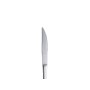 ALAR CUCHILLO BISTEC FIRENZE 90 G 