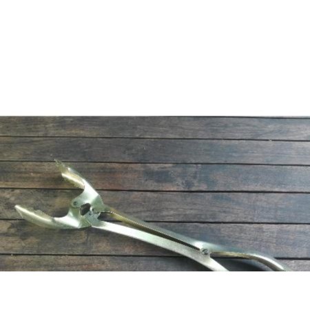 /*/TENAZA PARA COGER CHUMBOS FLORES