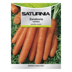 SEMILLAS ZANAHORIA NANTES TEMPRANA (7 GRAMOS). SEMILLAS VERDURAS, HORTICULTURA, HORTICOLA, SEMILLAS HUERTO.