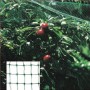 MALLA ANTIPAJAROS (ROLLO 2 X 10 METROS) RED PROTEGER ARBOLES, CULTIVOS, FRUTAS.