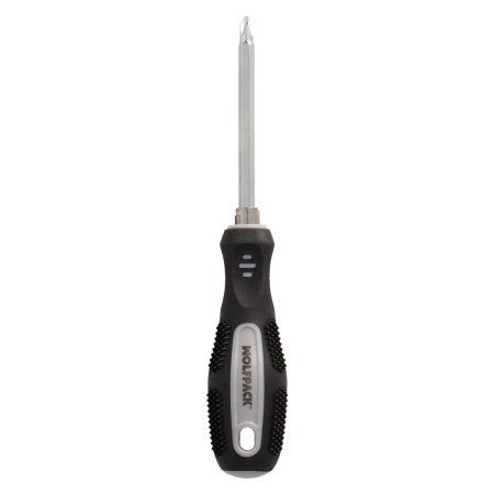 DESTORNILLADOR INTERCAMBIABLE 6X150 MM.