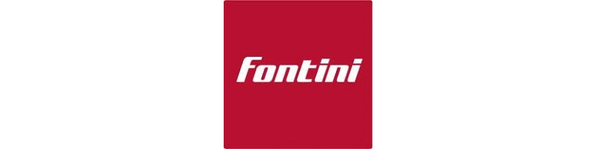 FONTINI