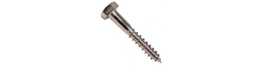 Tornillo DIN-571 INOX A2