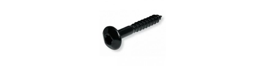 Tornillo inviolable Torx